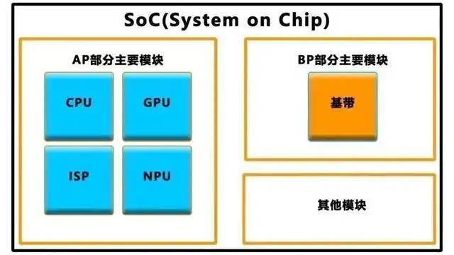 特定基因突变或让人类比黑猩猩更易患癌