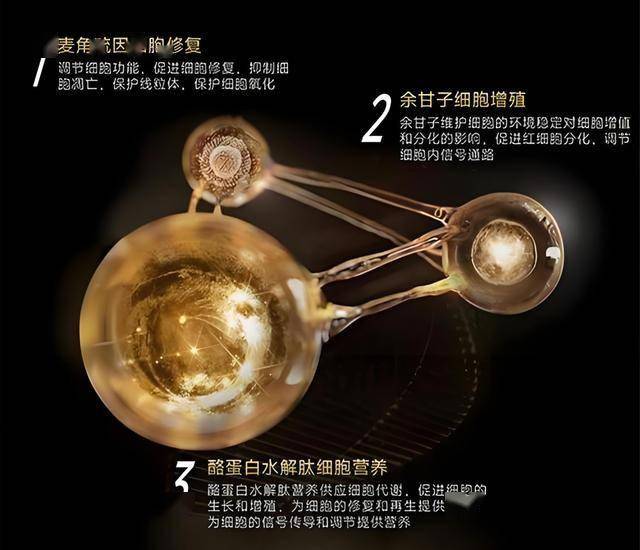 直击MT4交易画面，掌握这5大作用让你的外汇交易更顺畅！